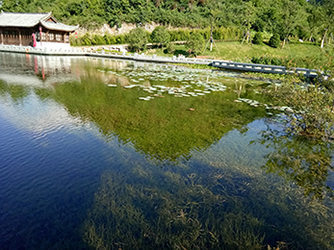 贵州乡愁生态水系项目