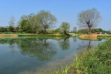 湖北武汉杜公湖湿地公园水生态（人工湿地）项目