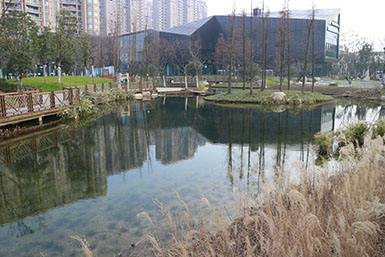 武汉园博园水生态构建项目