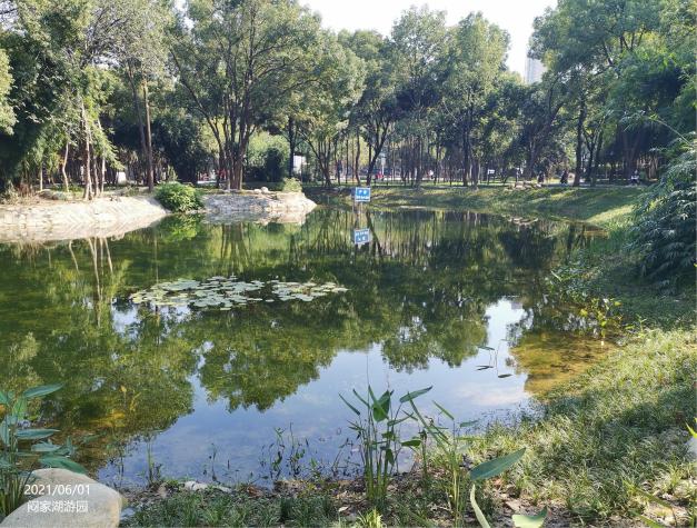 闷家湖小游园水生态治理项目