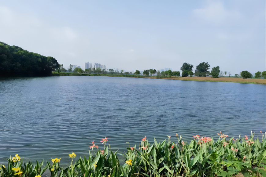武汉东西湖金银湖水质提质巩固工程四标段